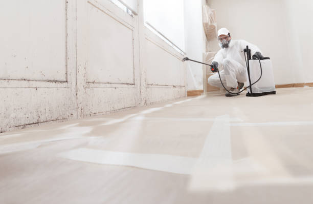 24/7 Emergency Commercial Mold Remediation experts in Loganton, PA